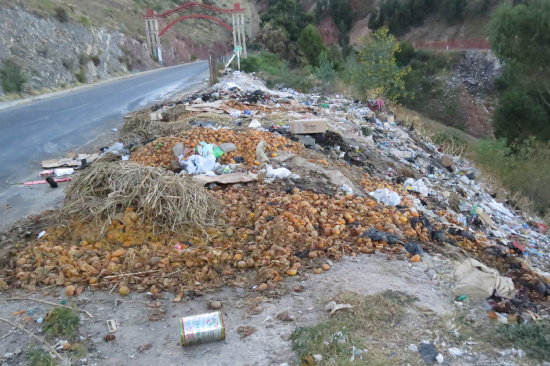 BOCHORNOSO. A diario, algunos dueos de granjas, talleres y comercios depositan la basura en la zona de Cal Orck'o, ingreso a la ciudad.