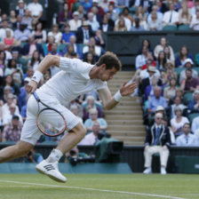 El tenista britnico, Andy Murray, durante el juego contra el espaol Roberto Bautista-Agut, al que venci con facildad.