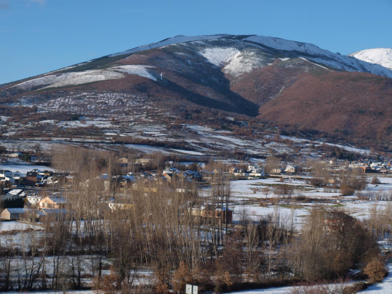 PRDIDAS. El ganado de varias comunidades de los municipios cinteos habra resultado afectado por la fuerte nevada.