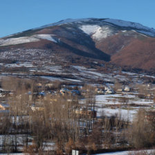 PRDIDAS. El ganado de varias comunidades de los municipios cinteos habra resultado afectado por la fuerte nevada.