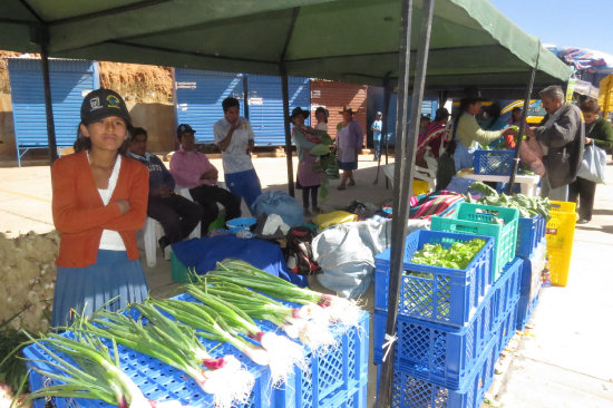 FERIA: Las hortalizas fueron los productos ms demandados por los sucrenses.