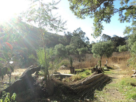 LA BRISA. En este lugar existe una importante reserva de rboles nativos y de otras especies, consideradas un importante pulmn para la zona y la ciudad.