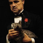 ACTUACIN. Marlon Brando en El Padrino.