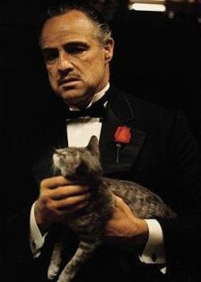 ACTUACIN. Marlon Brando en El Padrino.