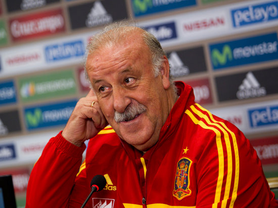 Vicente del Bosque continuar como seleccionador de Espaa.