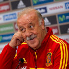 Vicente del Bosque continuar como seleccionador de Espaa.