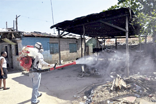 BROTE. Los primeros casos fueron detectados en el continente africano.