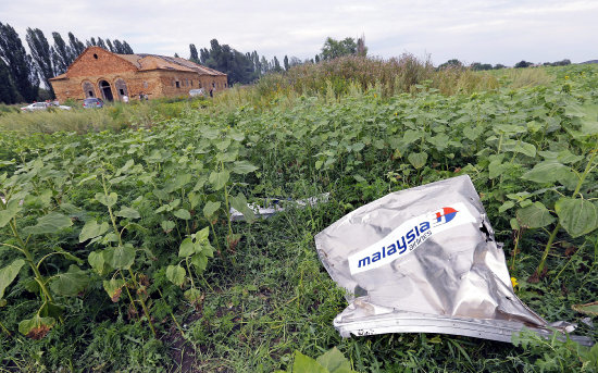 INSPECCIN. Restos de la aeronave se pueden ver en un campo cerca de Donetsk, Ucrania.