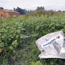 INSPECCIN. Restos de la aeronave se pueden ver en un campo cerca de Donetsk, Ucrania.