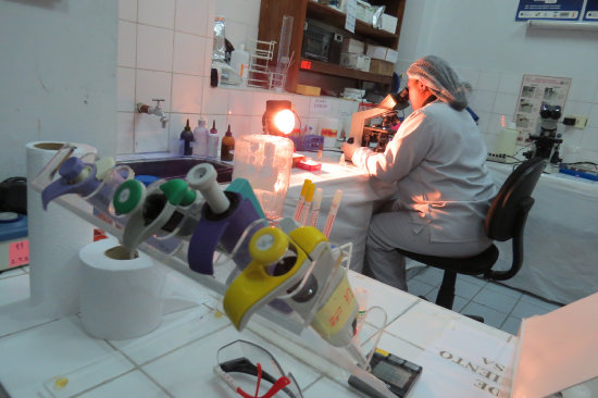 ANLISIS. Las muestras son tratadas en el laboratorio del Programa VIH-sida del SEDES.