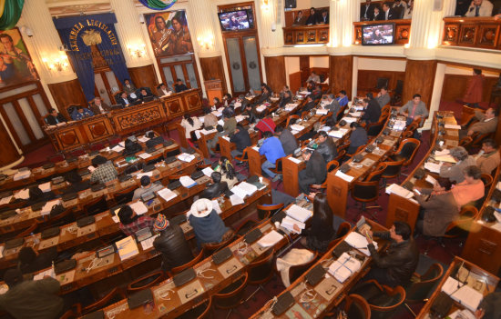 ASAMBLEA. Los diputados tomaron su decisin tras nueve horas de debate.