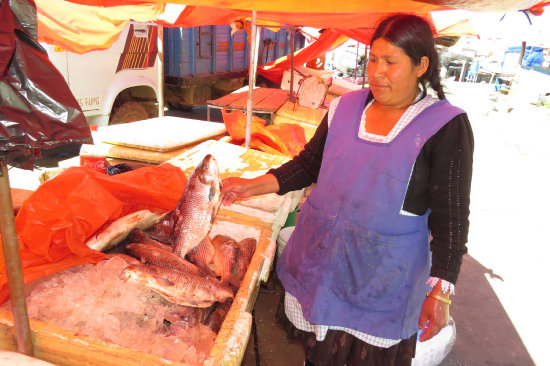 ABASTECIDO. La venta de pescado se realiza en los mercados de San Antonio y El Morro, sin que el producto falte todos los das en esta poca.