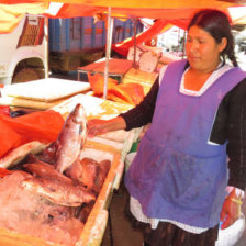 ABASTECIDO. La venta de pescado se realiza en los mercados de San Antonio y El Morro, sin que el producto falte todos los das en esta poca.