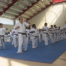 El curso nacional de karate concluy ayer, en la III Fase del estadio Patria.