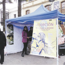 PROMOCIN. La exposicin realizada ayer para promover la adopcin.