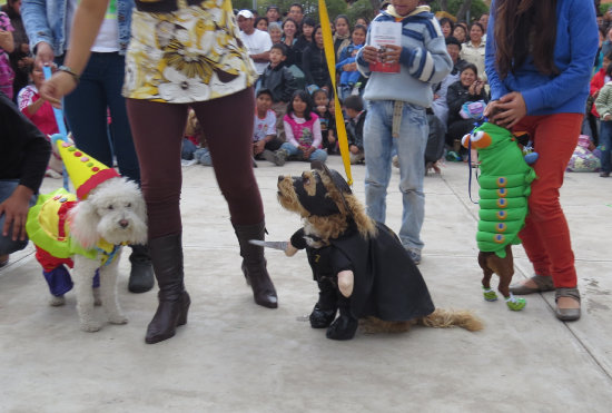 San roque. Decenas de amos llevaron a sus perros a participar de los concursos organizados por las organizaciones protectoras de animales.