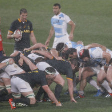 Los Pumas de Argentina cayeron ayer a manos de Sudfrica.