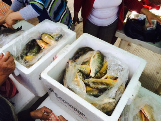 FERIA. El pescado de Ro Chico fue el producto ms demandado por la poblacin.