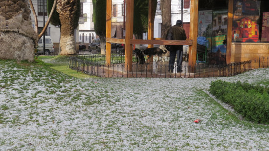 LLUVIA. Las reas verdes de Sucre quedaron cubiertas por una capa de granizo.