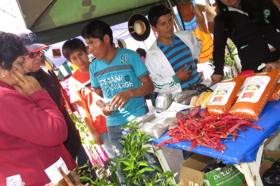 AVANCE. Estudiantes de los institutos compartieron conocimientos con el pblico.