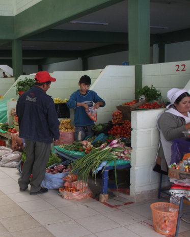 PROYECTO. El mercado El Morro.