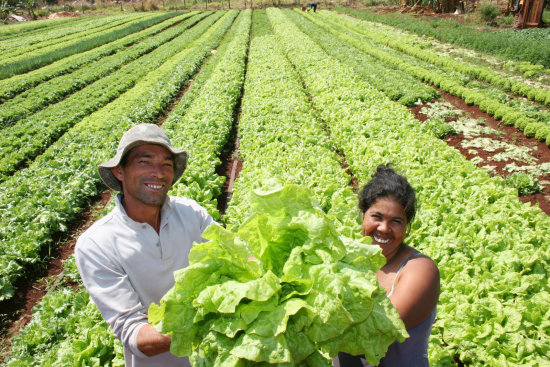 INFORME. La agricultura en el pas tiene un papel crucial en la estrategia de la seguridad alimentaria.