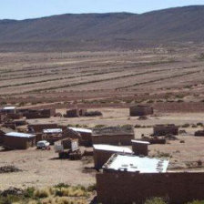 SIEMBRA. Los campos de plantacin de Quinua estn afectados.