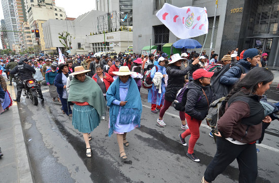 PROTESTA. Representantes de los ropavejeros del pas marcharon ayer, en la Sede de Gobierno.