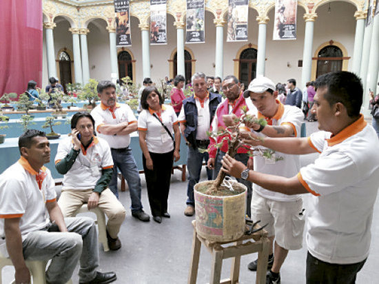 CAPACITACIN. El cultor Marcelo Guachalla explica a los participantes del taller el procedimiento para la formacin de un bonsi.