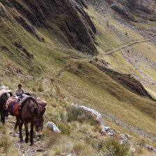 PATRIMONIO. La ruta del Qhapaq an.