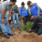 ACCIN. El gobernador Esteban Urquizu inici la campaa plantando el primer arbolito.