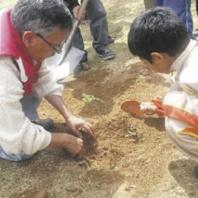 EJEMPLO. Los nios junto a sus padres plantan arbolitos en la plazuela Trveris.