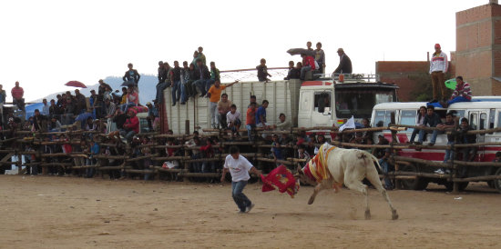 CORRIDA. Participaron 25 bravos toros provenientes del Chaco, los toreros ganadores se llevaron las caronas como premio a su valenta.