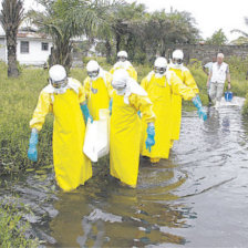 BROTE. Personal sanitario recorre un arroyo en Liberia, el pas ms afectado por la enfermedad.