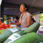 INFRACCIN. La feria multisectorial realizada ayer en la plaza 25 de Mayo.