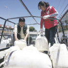 PREVENCIN. Funcionarios del SENASAG y la Intendencia Municipal decomisaron el producto.