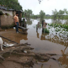 DESASTRE. Los efectos del cambio climtico afectaron a varios municipios del Chaco chuquisaqueo y ahora solicitan apoyo.