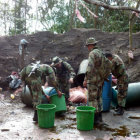 Erradicacin. La ONU destaca la reduccin de plantaciones de coca destinadas a la droga.