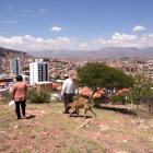 PROYECTO. La construccin de un Parque Temtico en el Barrio Libertadores contina siendo un proyecto inconcluso que, a pesar de recibir el apoyo inicial del Municipio, todava no se concreta.