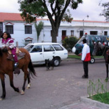 ROBOS. Vecinos del parque Bolvar se sienten inseguros por ola de robos.