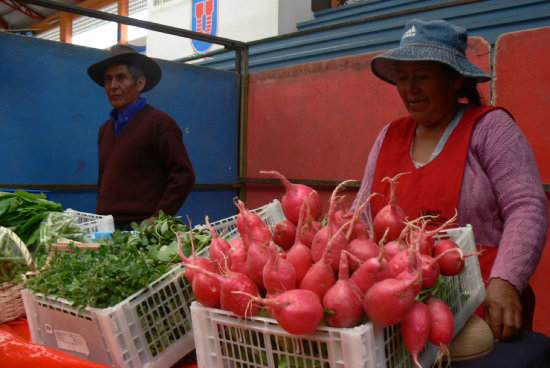 OFERTA. Productores en Sucre.