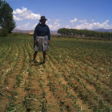 ALERTA. Los fenmenos naturales se presentan de manera sorpresiva.