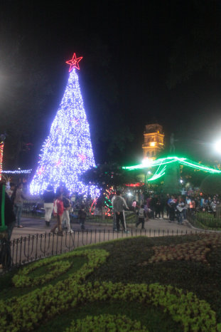 ARREGLO. Las luces navideas en la Plaza.