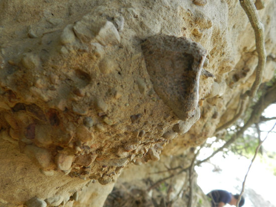 DESCUBRIMIENTO. Osteoderma del gliptodonte identificado en el ro Naval, cerca de Padilla.