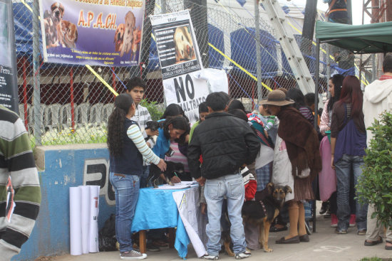 SOLIDARIDAD. La adopcin es una opcin.