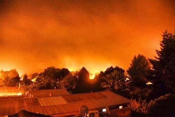 TRAGEDIA. Los incendios acaban con la flora de varios sectores chilenos.