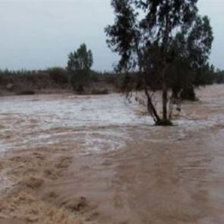 DESASTRE. Las intensas lluvias estn ocasionando el desborde de los ros.