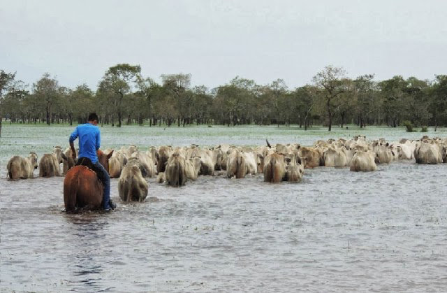 DESASTRES. Las copiosas lluvias de la temporada se cobraron varias vctimas.