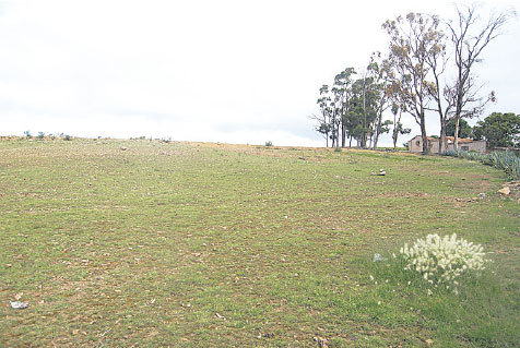 PROYECTO. El terreno del ABNB en Lajastambo, de 1.5 hectreas, donde se construir el depsito.