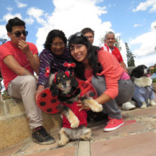 CREATIVIDAD. Decenas de canes participaron ayer del Corso Carnavalesco de Mascotas, mostrando ternura y creatividad de sus dueos.